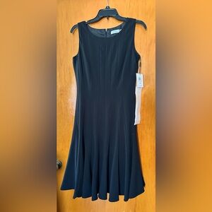 Calvin Klein Sleeveless Fit and Flare Cocktail Dress, Size 6